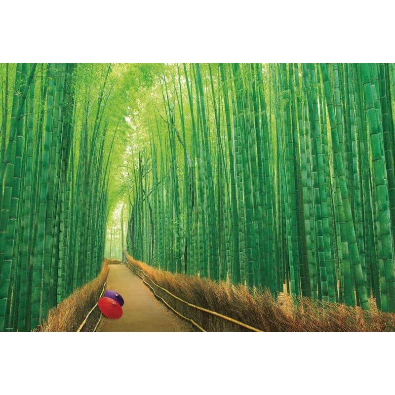 Beverly Jigsaw Puzzle 51-229 Japanese Scenery Bamboo Forest Sagano Kyoto (1000 Pieces)