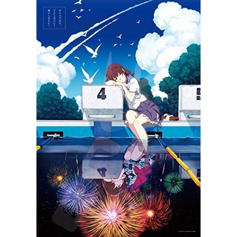 Ensky Jigsaw Puzzle 1000T-57 Fireworks Should We See It from the Side or the Bottom? (1000 Pieces)