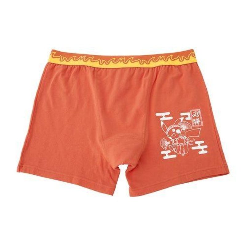 Pokemon Center Original Prayer Panties Support Pikachu M / L