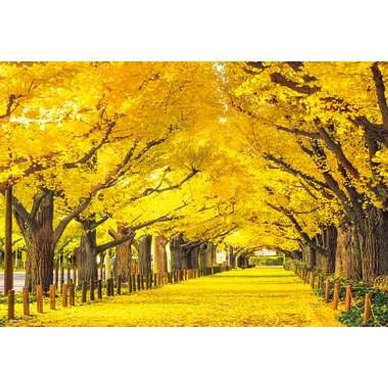 Beverly 300-105 Jigsaw Puzzle Ginkgo trees in Jingu Gaien (300 Pieces)